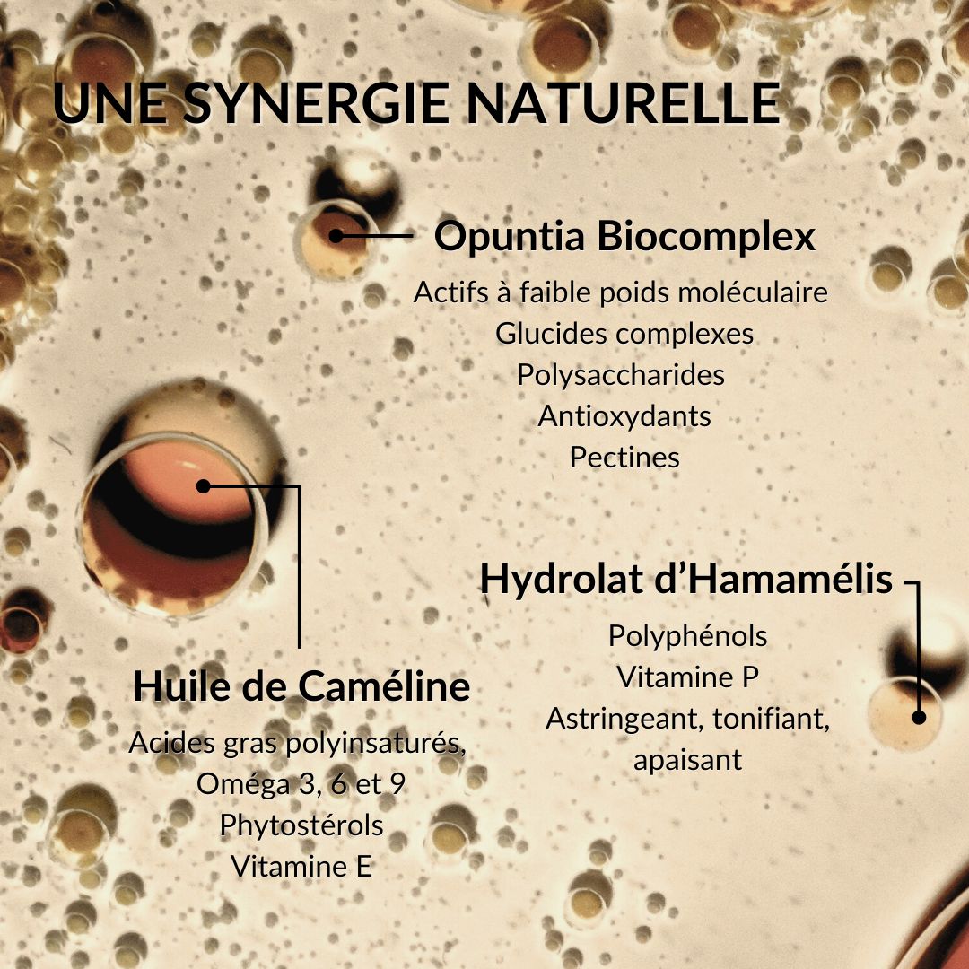 L'Art du Portrait - Crème Régénérante Fondamentale