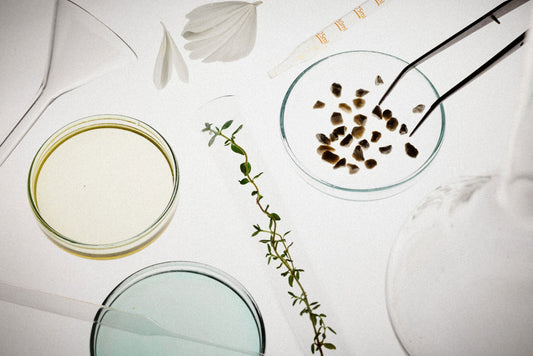 Soins anti-âge naturels : pourquoi la biotechnologie change tout