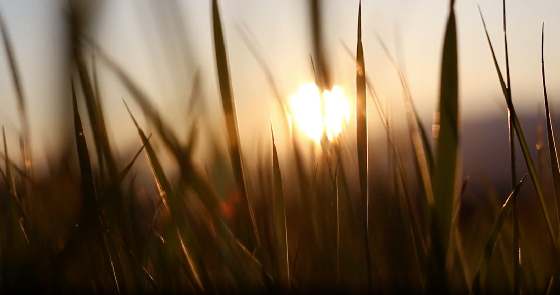 Slow beauty : comment adopter un rituel de soin conscient