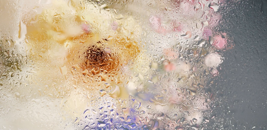 Top 5 des ingrédients naturels qui boostent la régénération cellulaire et l’éclat en 2026